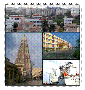 Nellore_Montage.png